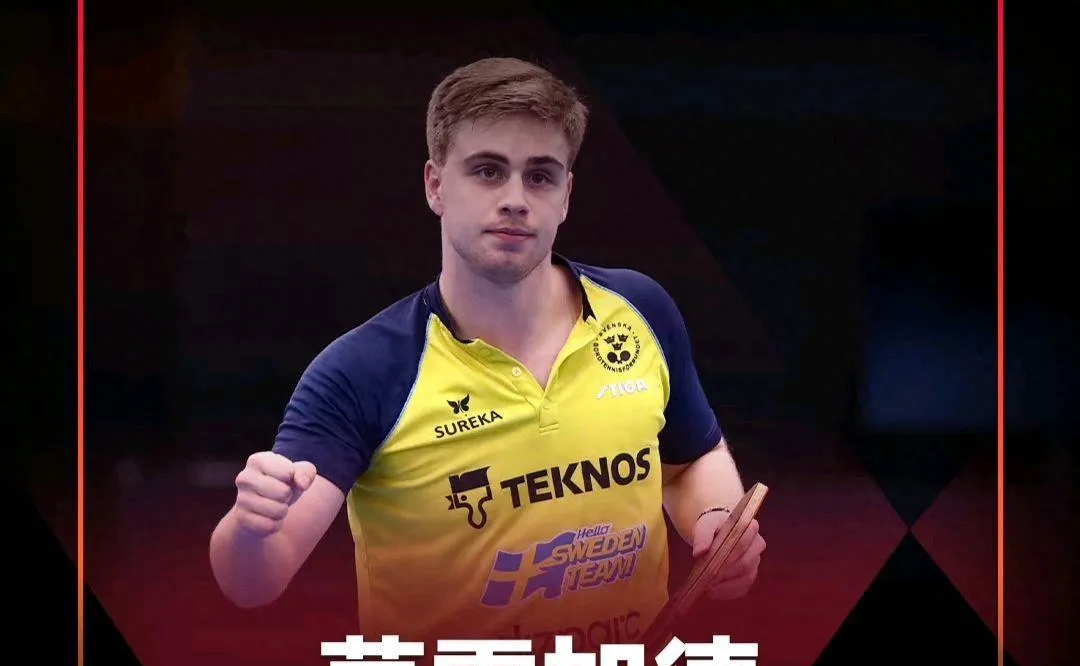 德国乒乓球队爆冷比利时乒乓球队,水谷隼制霸全场的简单介绍 德国乒乓球队爆冷比利时乒乓球队,水谷隼制霸全场的简单介绍